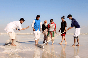 Participants doing Shramdaan during their Orientation camp facilitated by Pravah at Manthan, Rajasthan